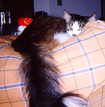 Ogden sleeping