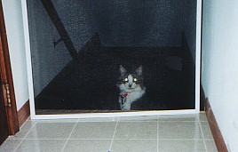 Uh, who locked me out?