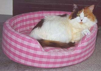 Wensley sleeping in her own bed