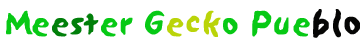 Meester Gecko Pueblo