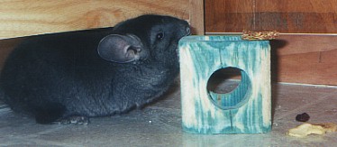 Fenn stealing granola