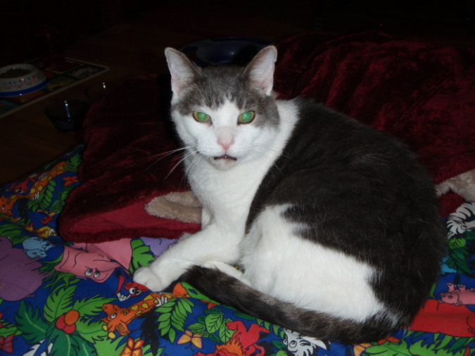 Howard Lounging