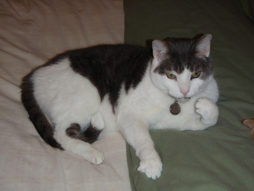 Howard Relaxing
