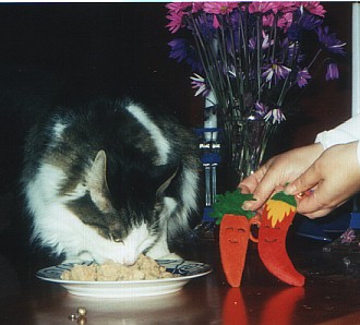 Sirbie and his birthday