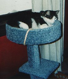 Second Bed - Too Soft