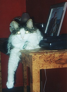 Sirbie and his table